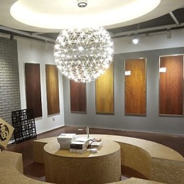 Contemporary Chandelier Creative Round Droplight Lamp Light