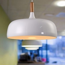 Modern Contemporary Country Metal Pendant Light