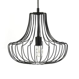 Artistic Iron Pendant Light Coop Design