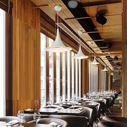 1Pendant Lights Droplight Acrylic Chandelier