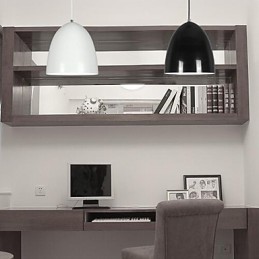 Modern Contemporary Painting Metal Pendant Light