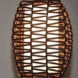 Cany Art Weaving Classical Contracted Droplight Lamp Light