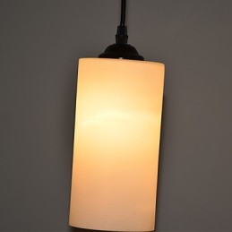 Round Straight Glass Single Head Droplight Lamp Light