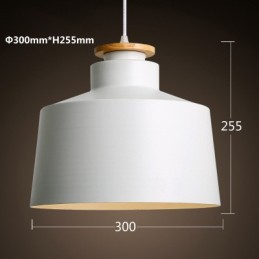 Modern Contemporary Metal Pendant Light