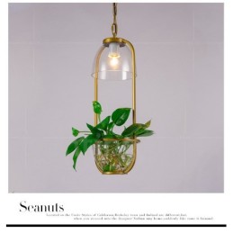 Traditional Classic Single Light Glass Pendant Light
