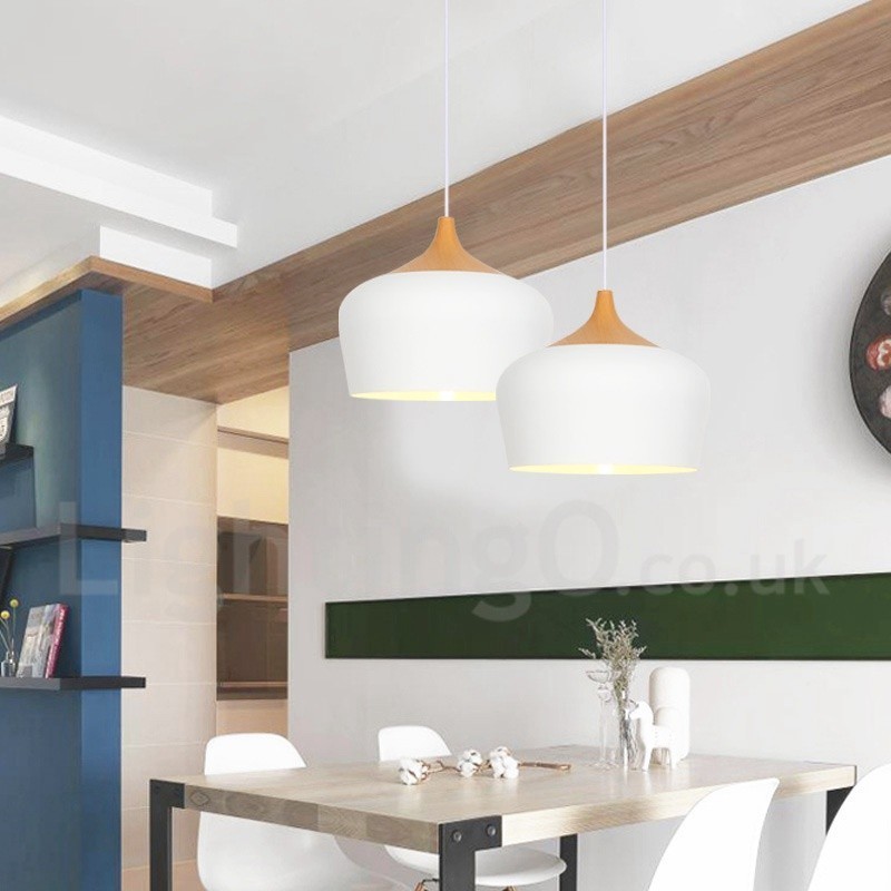 Modern Contemporary 1 Light Pendant Light