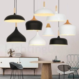 Modern Contemporary 1 Light Pendant Light
