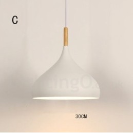 Modern Contemporary 1 Light Pendant Light