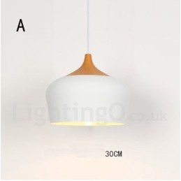 Modern Contemporary 1 Light Pendant Light