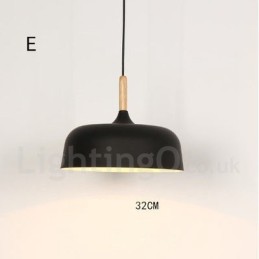 Modern Contemporary 1 Light Pendant Light