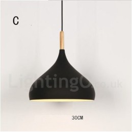 Modern Contemporary 1 Light Pendant Light