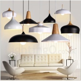 Modern Contemporary 1 Light Pendant Light