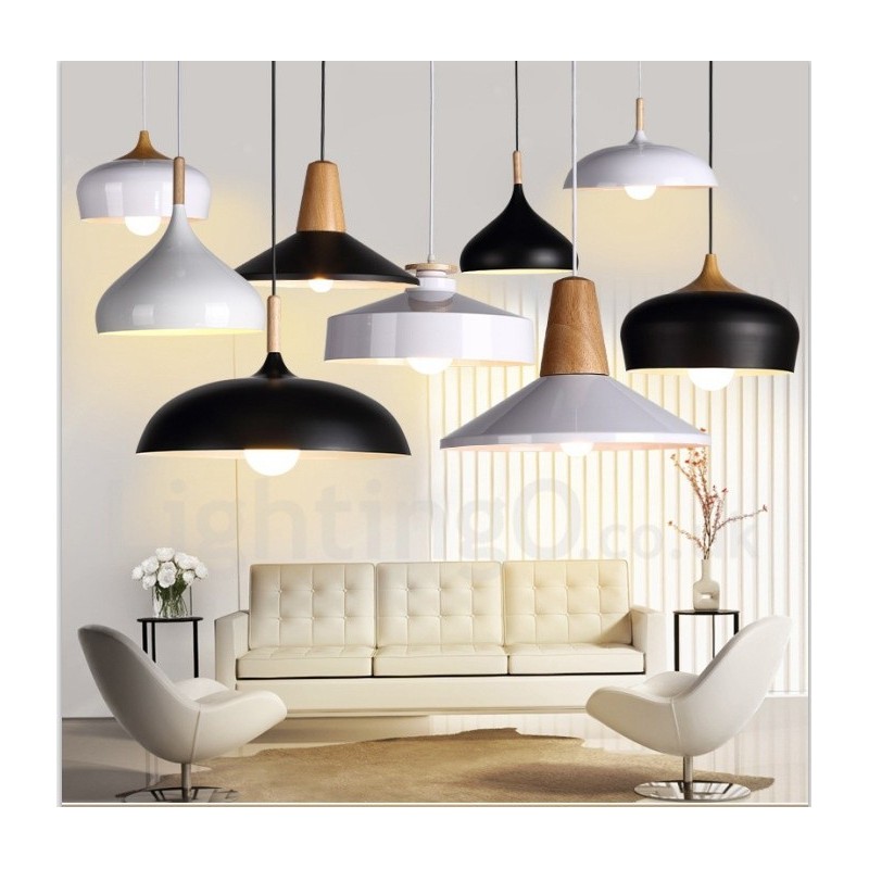 Modern Contemporary 1 Light Pendant Light
