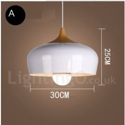 Modern Contemporary 1 Light Pendant Light
