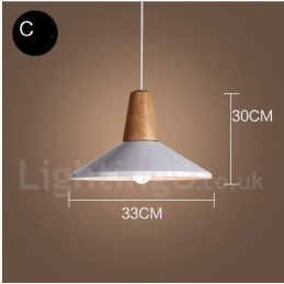 Modern Contemporary 1 Light Pendant Light