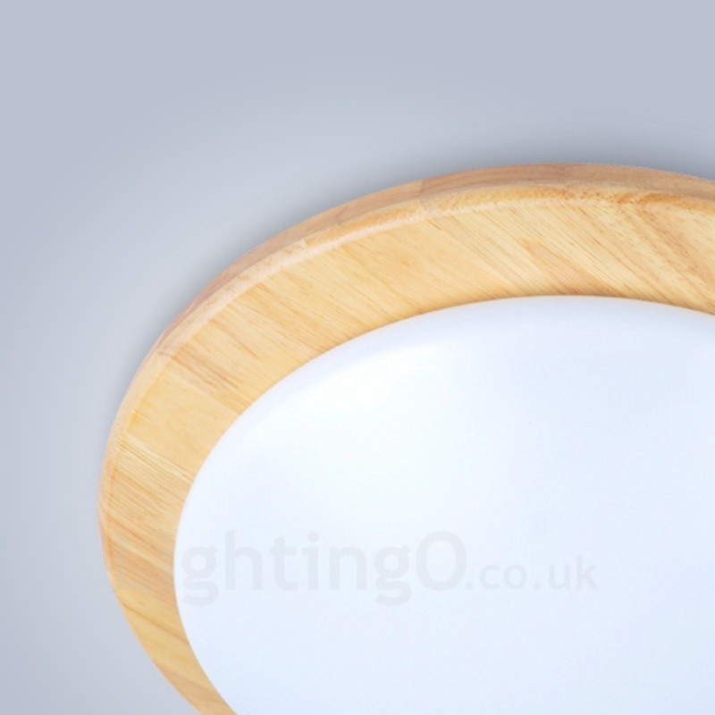 Modern Contemporary Flush Mount Ceiling Lights with Acrylic Shade