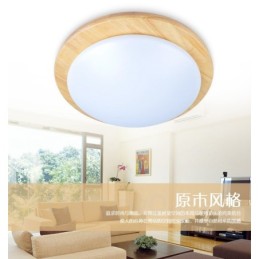 Modern Contemporary Flush Mount Ceiling Lights with Acrylic Shade