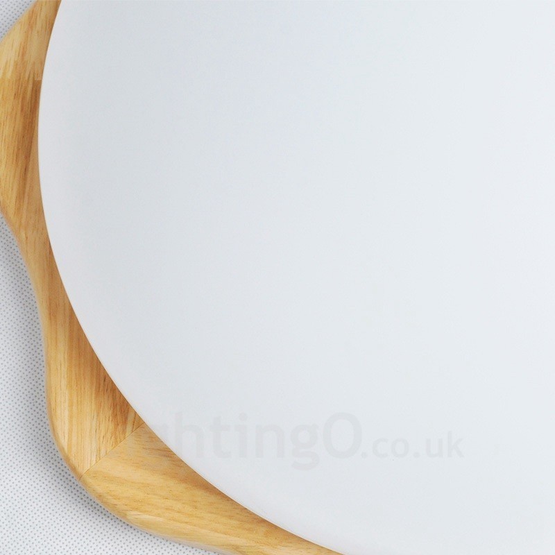 Modern Contemporary Flush Mount Ceiling Lights with Acrylic Shade