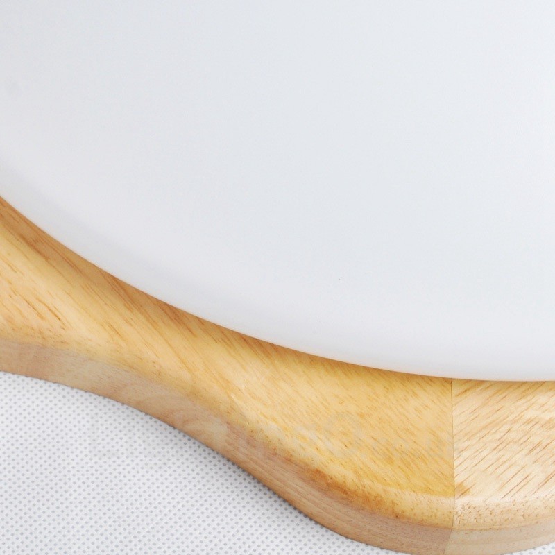 Modern Contemporary Flush Mount Ceiling Lights with Acrylic Shade