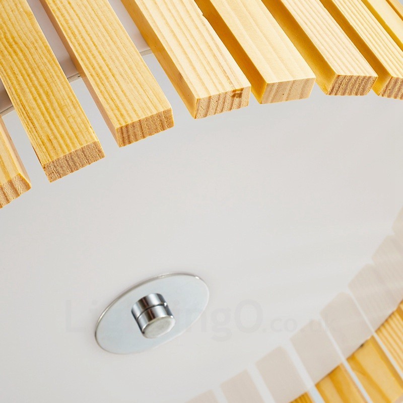 Modern Contemporary Flush Mount Ceiling Lights with Acrylic Shade