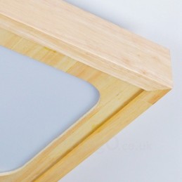 Modern Contemporary Flush Mount Ceiling Lights with Acrylic Shade