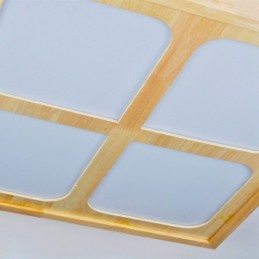 Modern Contemporary Flush Mount Ceiling Lights with Acrylic Shade