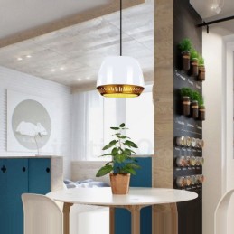 1 Light Modern Contemporary Pendant Light with Black White Red Blue Shade