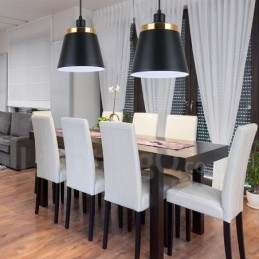 1 Light Modern Contemporary Pendant Light Ceiling Lamp