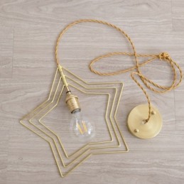 Modern Contemporary 1 Light Brass Pendant Light with Shade