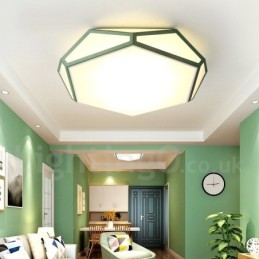 Modern Contemporary Steel Lighting Ceiling Light