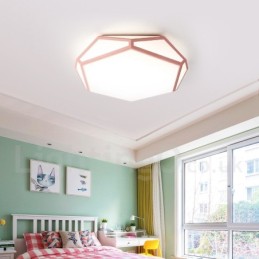 Modern Contemporary Steel Lighting Ceiling Light