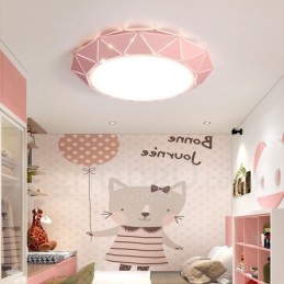 Modern Contemporary Steel Lighting Store Ceiling Light