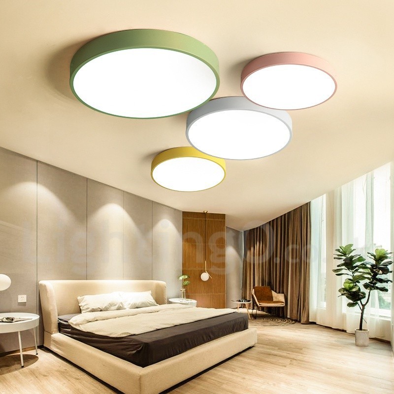 Multi Colours Modern Contemporary Steel Lighting Ceiling Light