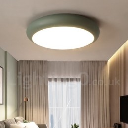 Modern Contemporary Steel Lighting Ceiling Light