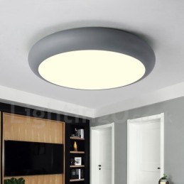 Modern Contemporary Steel Lighting Ceiling Light