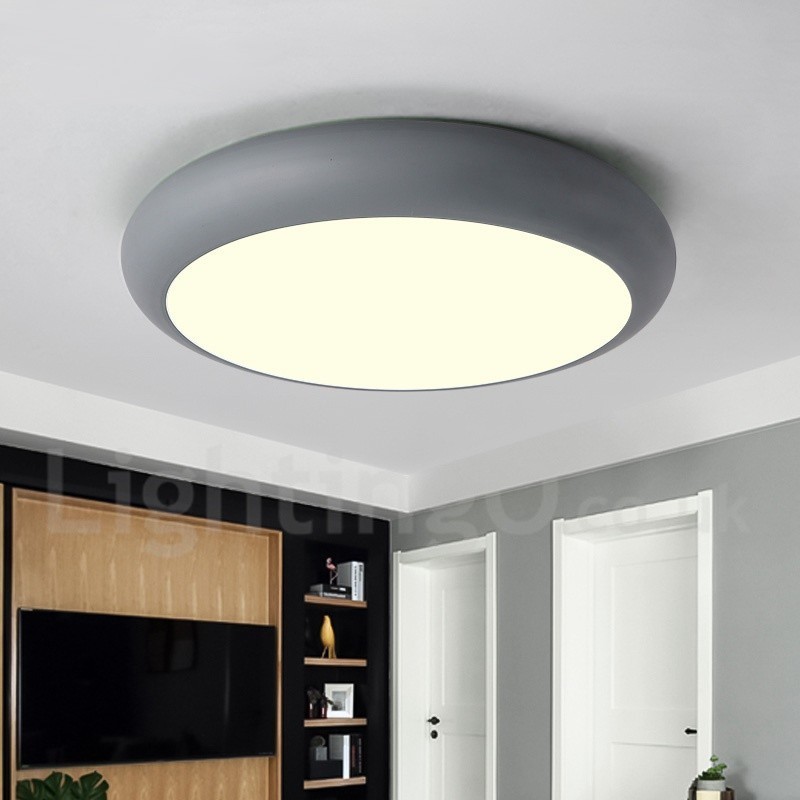 Modern Contemporary Steel Lighting Ceiling Light