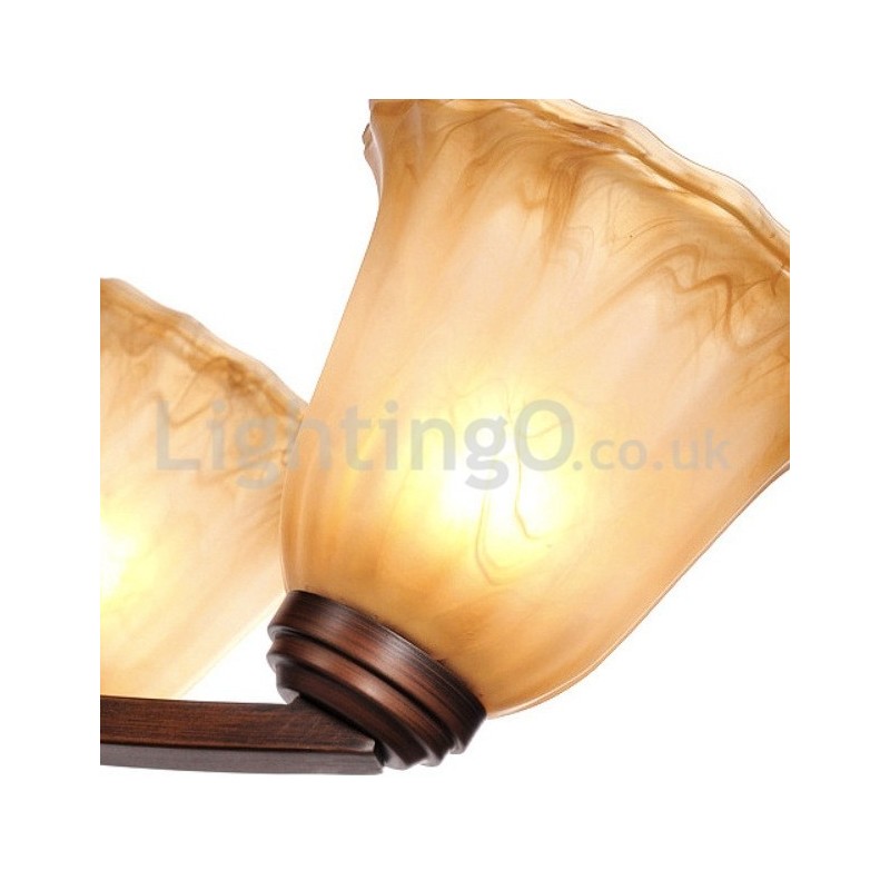 Rustic 6 bulbs Glass Lamp shade Stainless Chandelier