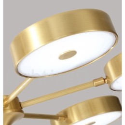 Pure Brass Rustic Lodge Rotatable Chandelier with Acrylic Shades