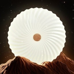 Nordic Round Simple Modern Solid Wood Flush Mounted Ceiling Light