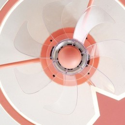 Cartoon Ceiling Fan Light Creative Ceiling Lamp Kid's