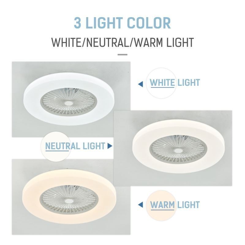 Fan Ceiling Light Trichromatic Dimming 3 Speed Remote Control