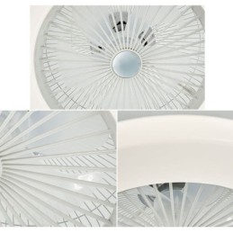 Fan Ceiling Light Trichromatic Dimming 3 Speed Remote Control