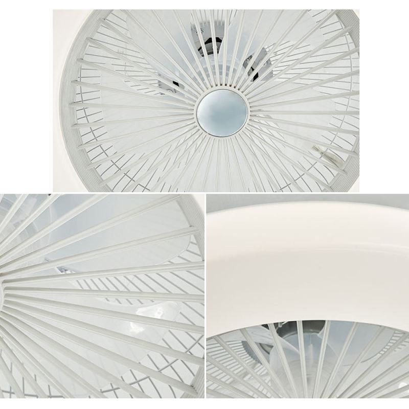 Fan Ceiling Light Trichromatic Dimming 3 Speed Remote Control