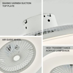 Fan Ceiling Light Trichromatic Dimming 3 Speed Remote Control