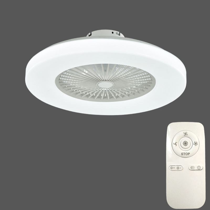Fan Ceiling Light Trichromatic Dimming 3 Speed Remote Control