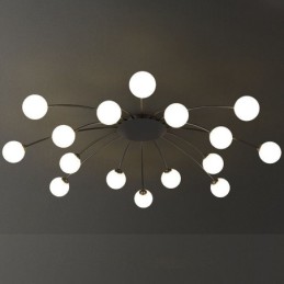 Modern Flush Mount Black Ceiling Light Decorative Light Fixture
