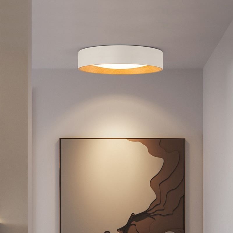 Ceiling Light Modern Minimalist Flush Mount Panel Lamp