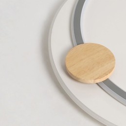 Modern Flush Mount Acrylic 2 Rings Ceiling Light Fixture