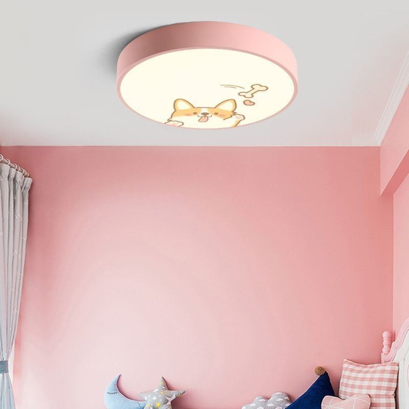 Animal Childrens Ceiling Light Cartoon Ceiling Lamp