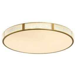 Flush Mount Ceiling Light Round Light Fixtures Tricolor Dimming